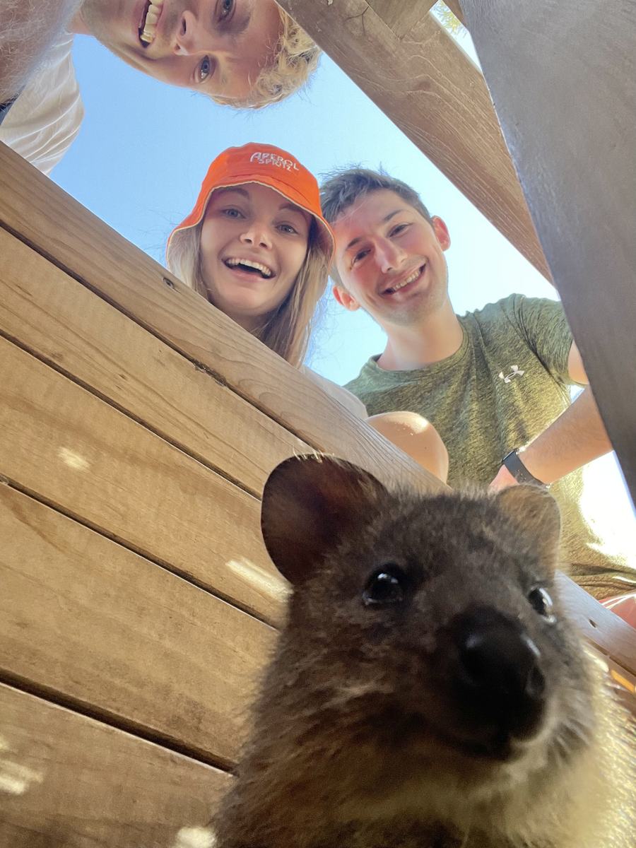 Quokka selfie Australia
