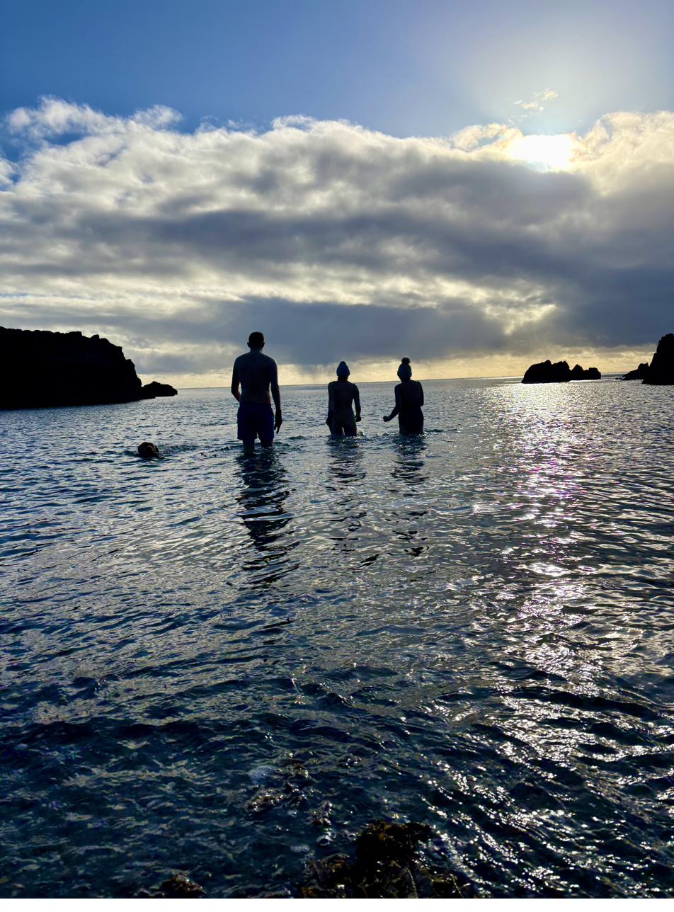 Wild swim Devon